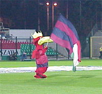 Gryf - fot. Woytek