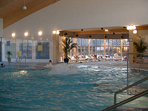Basen - fot. mrongovia.hotel.pl