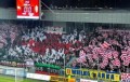 Cracovia na meczu z Okocimskim Brzesko - fot. tylkocracovia.pl