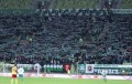 Lechia Gdańsk na meczu z Koroną Kielce - fot. lechia.net