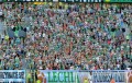 Lechia Gdańsk na meczu z Podbeskidziem - fot. lechia.net