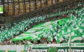 Lechia Gdańsk na meczu z Górnikiem Zabrze - fot. lwypolnocy.pl