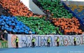 Zawisza Bydgoszcz na meczu z Zagłębiem Lubin - fot. zawiszafans.pl