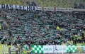 Lechia Gdańsk na meczu ze Śląskiem Wrocław - fot. lwypolnocy.pl