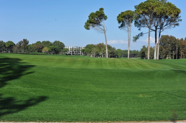 fot. turi / Legionisci.com