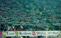 Lechia Gdańsk i Wisła Kraków na meczu przyjaźni - fot. lwypolnocy.pl
