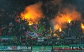 Śląsk Wrocław na meczu z Górnikiem Zabrze - fot. wks.pl