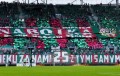 Śląsk Wrocław na meczu z Ruchem Chorzów - fot. wroclawianie.info