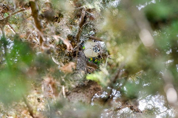 fot. Woytek / Legionisci.com
