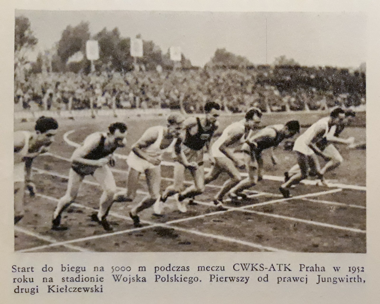 fot. Dariusz Chojnacki