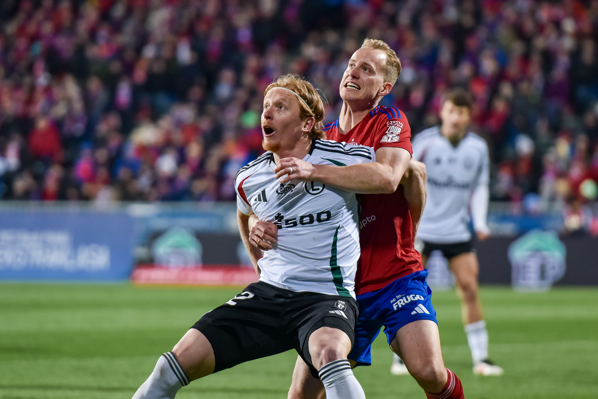 Raków Częstochowa - Legia Warszawa Radovan Pankov