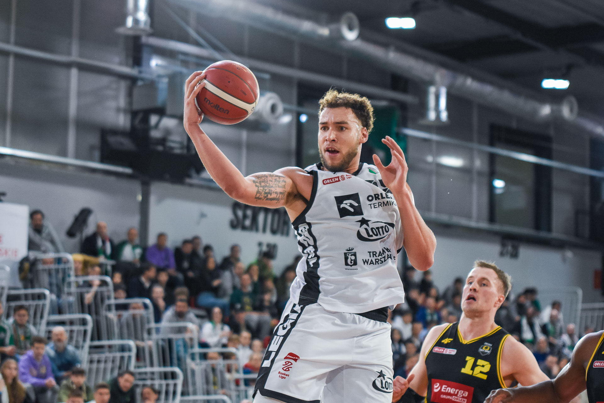 koszykówka Legia Warszawa - Trefl Sopot