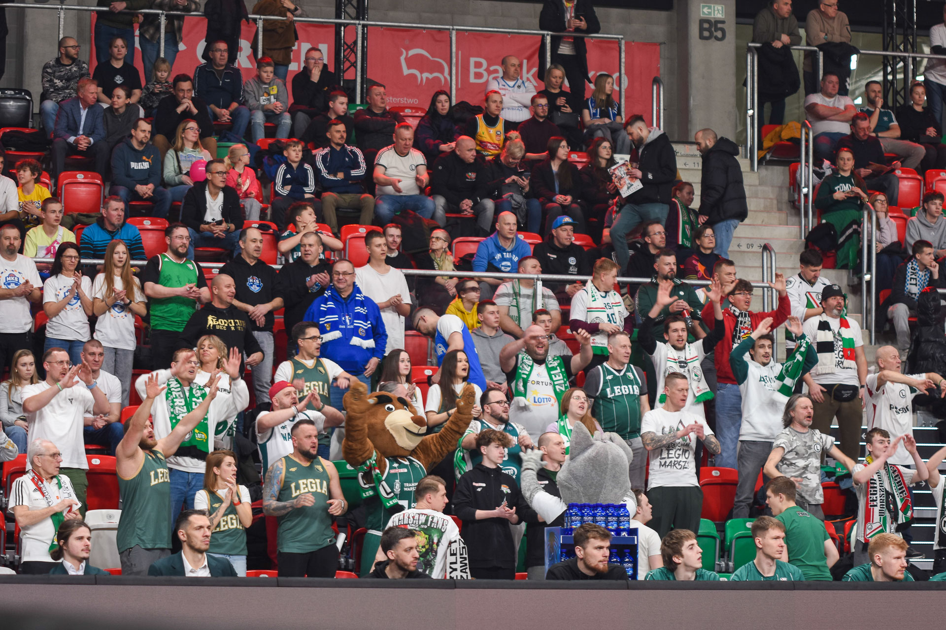 koszykówka Trefl Sopot Legia Warszawa Arena Sosnowiec kibice